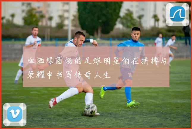 血洒绿茵场的足球明星们在拼搏与荣耀中书写传奇人生