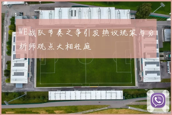 WE战队节奏之争引发热议玩家与分析师观点大相径庭