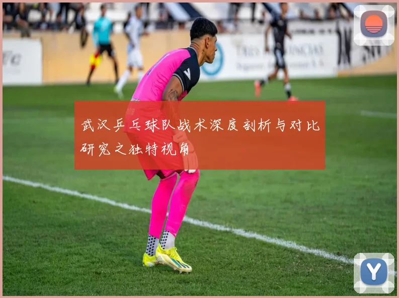 武汉乒乓球队战术深度剖析与对比研究之独特视角
