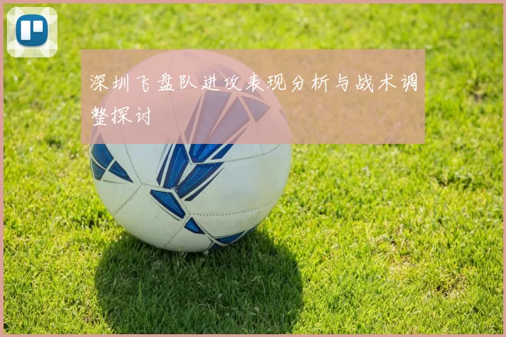 深圳飞盘队进攻表现分析与战术调整探讨