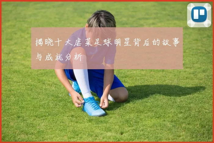 揭晓十大虐菜足球明星背后的故事与成就分析