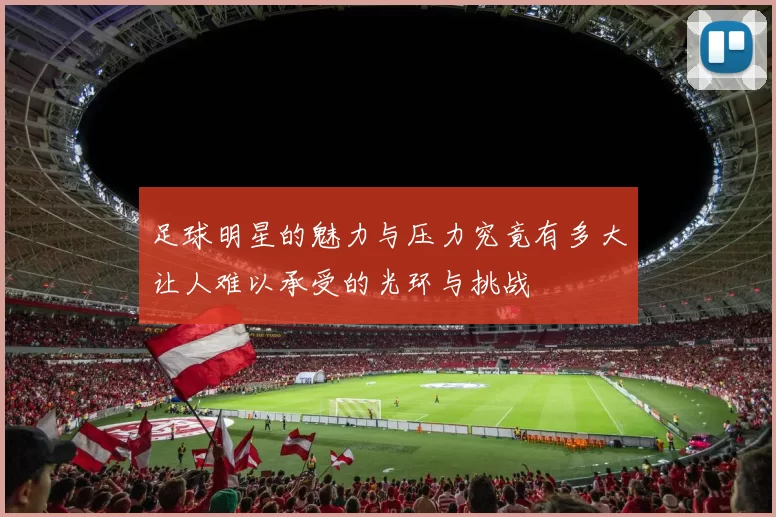 足球明星的魅力与压力究竟有多大让人难以承受的光环与挑战