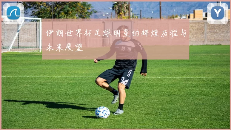 伊朗世界杯足球明星的辉煌历程与未来展望