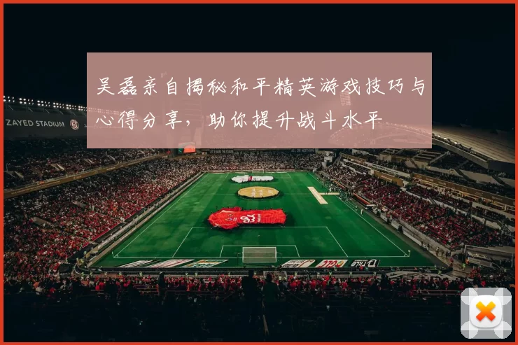 吴磊亲自揭秘和平精英游戏技巧与心得分享，助你提升战斗水平