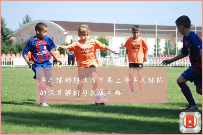 乒乓球的魅力与节奏上海乒乓球队的深度解析与发展之路
