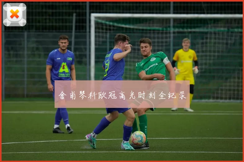 舍甫琴科欧冠高光时刻全纪录