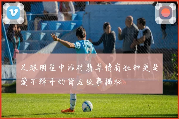足球明星中谁对翡翠情有独钟更是爱不释手的背后故事揭秘