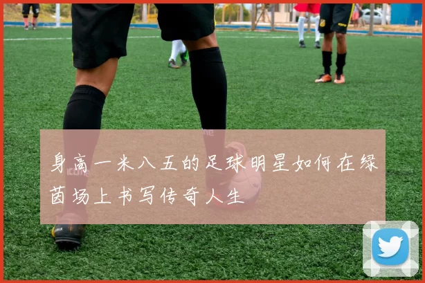 身高一米八五的足球明星如何在绿茵场上书写传奇人生