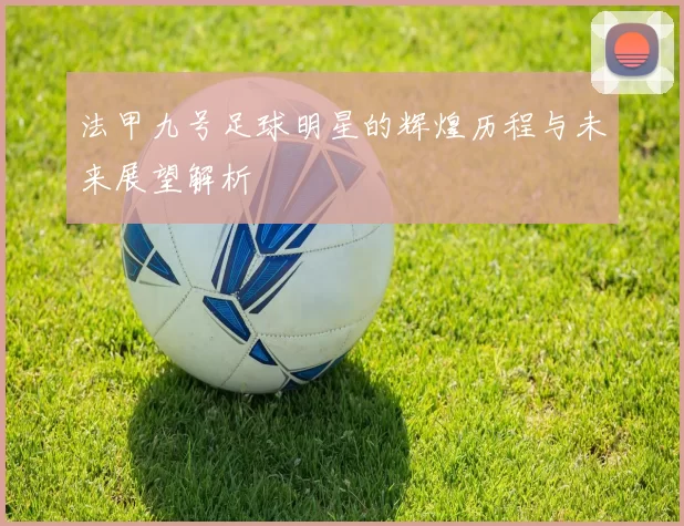 法甲九号足球明星的辉煌历程与未来展望解析