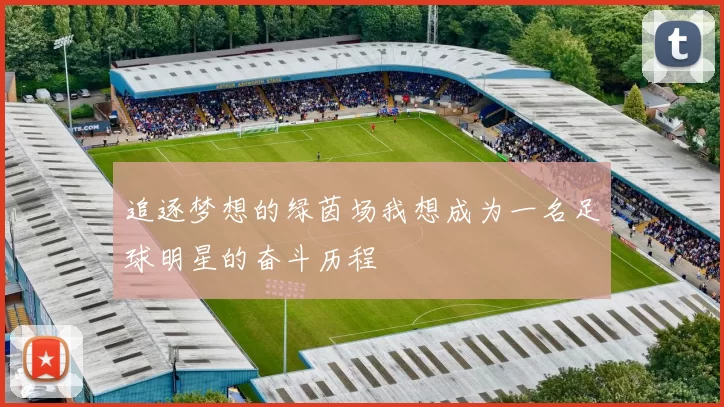 追逐梦想的绿茵场我想成为一名足球明星的奋斗历程