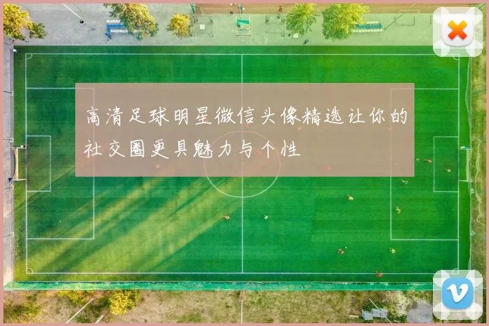 高清足球明星微信头像精选让你的社交圈更具魅力与个性
