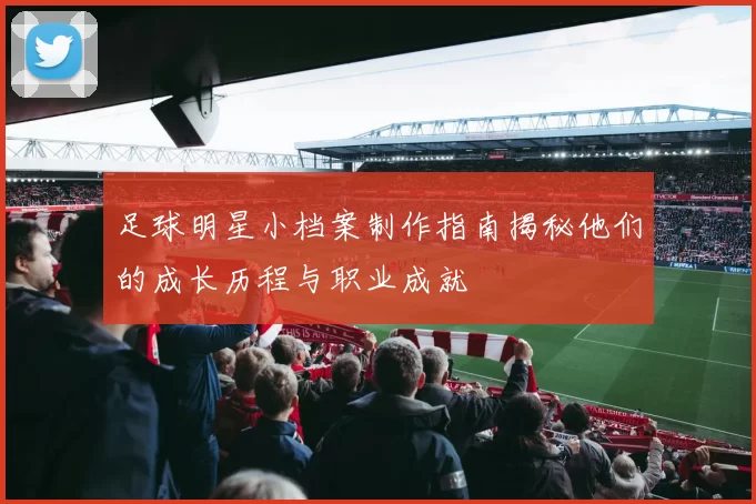 足球明星小档案制作指南揭秘他们的成长历程与职业成就