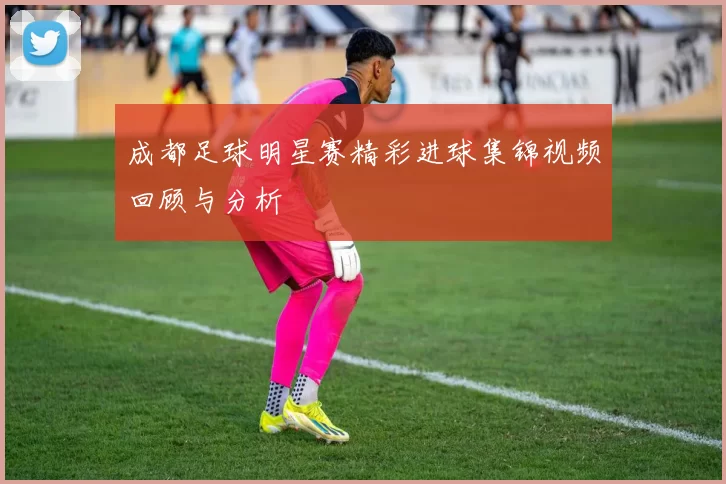成都足球明星赛精彩进球集锦视频回顾与分析
