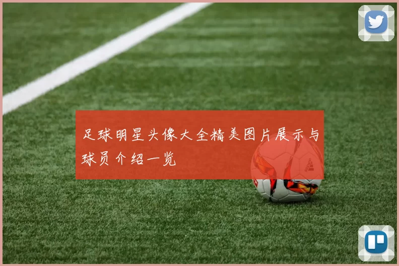 足球明星头像大全精美图片展示与球员介绍一览