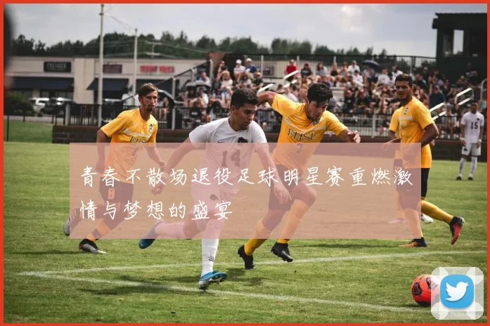 青春不散场退役足球明星赛重燃激情与梦想的盛宴