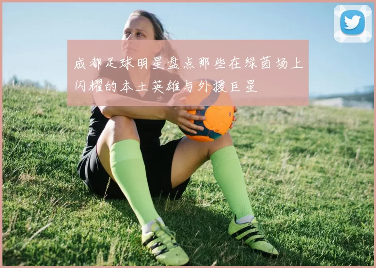 成都足球明星盘点那些在绿茵场上闪耀的本土英雄与外援巨星
