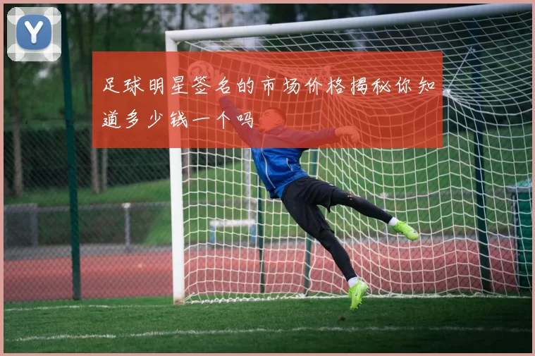 足球明星签名的市场价格揭秘你知道多少钱一个吗