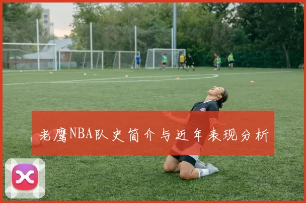 老鹰NBA队史简介与近年表现分析