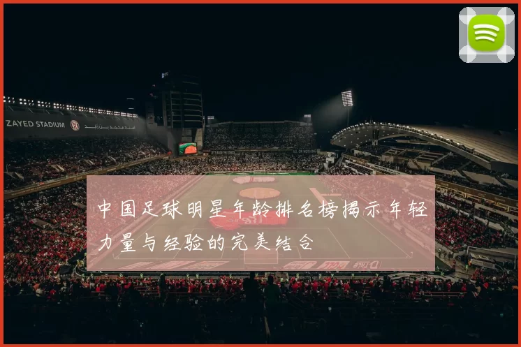 中国足球明星年龄排名榜揭示年轻力量与经验的完美结合