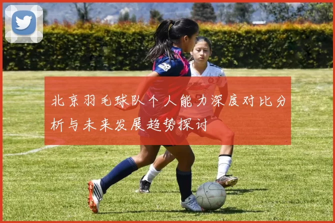 北京羽毛球队个人能力深度对比分析与未来发展趋势探讨