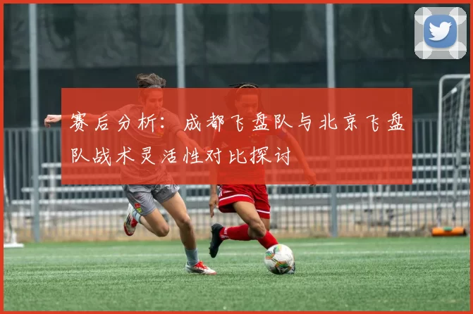 赛后分析：成都飞盘队与北京飞盘队战术灵活性对比探讨