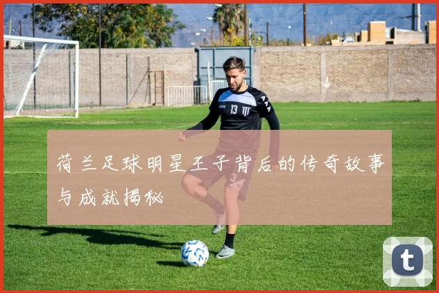 荷兰足球明星王子背后的传奇故事与成就揭秘