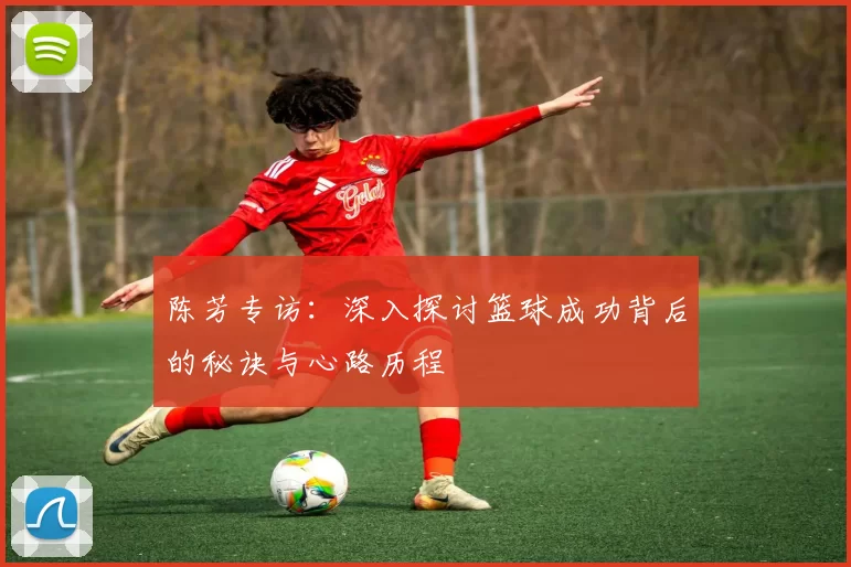 陈芳专访：深入探讨篮球成功背后的秘诀与心路历程