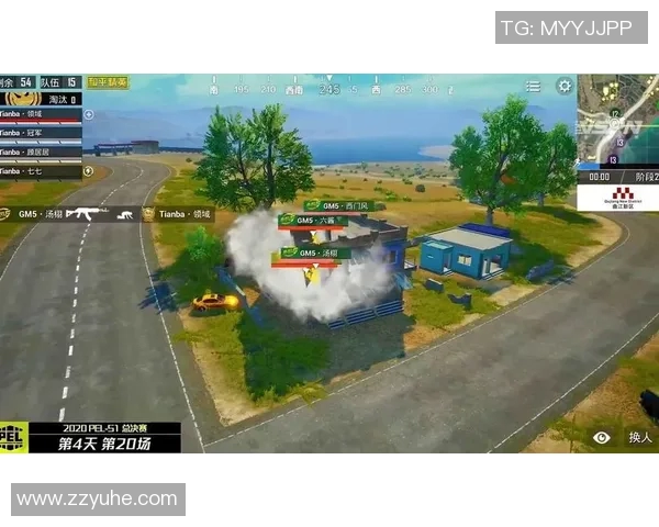 和平精英热议TES战队状态引发玩家热烈讨论与争议