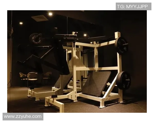 海外进口健身器材品牌及选购建议